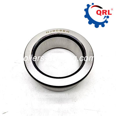NU309 E M1 C3 Podłożko walcowe cylindryczne 45x100x25 mm